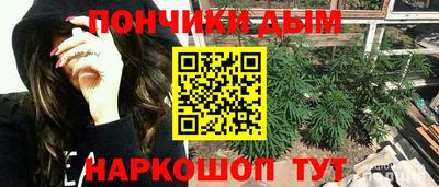 амф Дубна