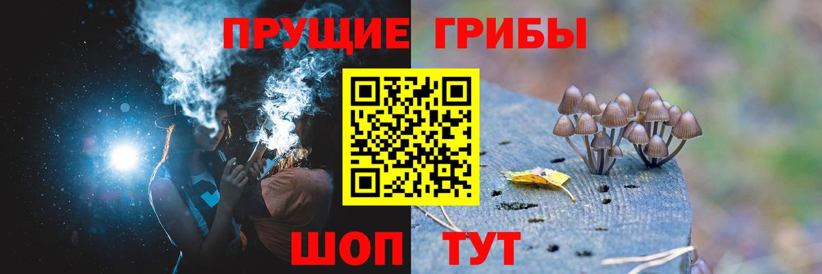 Псилоцибиновые грибы мухоморы  Вход с VPN  Михайловск  Галлюциногенные грибы мухоморы 